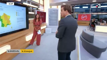 The combination with puffed sleeves in salmon pink worn by Myriam Seurat in Télématin