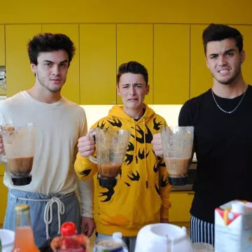 Alexander McQueen Large Swallow Print Popover hoodie worn by Noah Schnapp on his Instagram account @noahschnapp