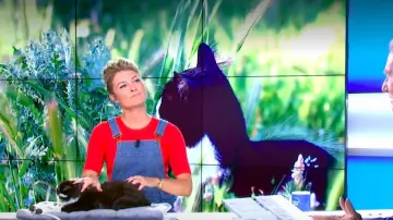 Le pull fin col rond et manches courtes Rouge de Sandrine Arcizet dans William à midi le 31.08.2020