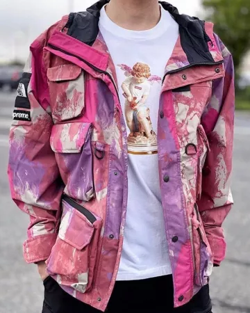 Supreme The North Face Cargo Jacket Multicolor sur le compte Instagram de @stockxstreetwear