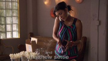 Top usado por Vanessa Abrams (Jessica Szohr) en Gossip Girl (S02E03)