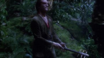 Made of wood and about 57 cm in size. This item was used during the filming of episode 1- Season 7 of "Star Trek Voyager". This is an authentic accessory. (Steven Dennis) in Star Trek: Voyager (S07E01)