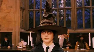 The replica of the Choipeaux worn by Harry Potter (Daniel Radcliffe) in the film Harry Potter and the Sorcerer's Stone