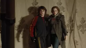 The sweater worn by Hermione Granger (Emma Watson) in Harry Potter and the goblet of fire