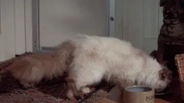 "Pussy" catfood bowl as seen in A View to a Kill - James Bond movie