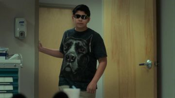 Le Chien de Montagne Noir Tête de Pitbull T-Shirt porté par Fromage (Facteur de Voie) comme on le voit dans les tenues de Chiens de Réservation (Saison 1 Épisode 2)