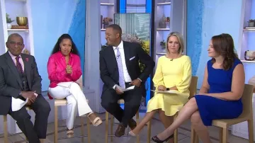 Eliza J Balloon Sleeve Fit & Flare Dress porté par Dylan Dreyer vu dans Today le 17 août 2022