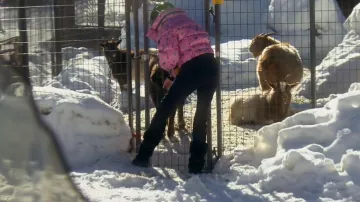 Bogner Alta Badia Boots worn by Sutton Stracke as seen in The Real Housewives of Beverly Hills (S12E17)