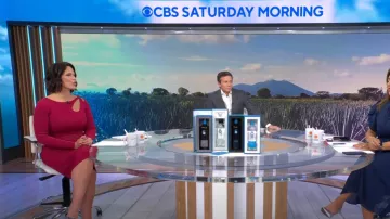 Elie Tahari Cut-Out Rib-Knit Pull Dress porté par Dana Jacobson comme vu dans CBS Mornings le 16 octobre 2022