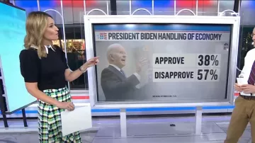 Alice + Olivia Chase Puff Sleeve Sweater avec col amovible porté par Savannah Guthrie comme vu dans Aujourd’hui le 24 octobre 2022