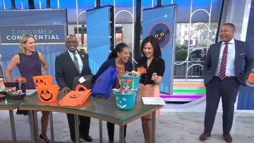 Eliza J Sleeveless Tweed Fit & Flare Dress worn by Dylan Dreyer as seen in Today on October 26, 2022