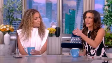 Dolce and Gabbana Zebra-Print Cady Mini vestido usado por Alyssa Farah como se ve en The View el 28 de octubre de 2022