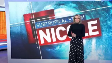 Eliza J Faux Pearl Embellished Mock Neck Sweater worn by Dylan Dreyer as seen in Today on November 8, 2022