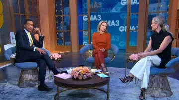 Greylin Felina Puff Sleeve Ribbed Knit Top worn by Amy Robach as seen in Good Morning America on November 15, 2022