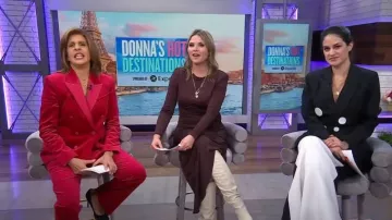 A.L.C. Devclan Double Breasted Jacket worn by Hoda Kotb as seen in Today with Hoda & Jenna on November 17, 2022