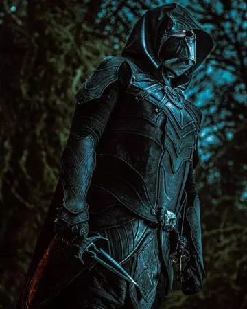 Todd Howard's costume on @elderscrolls's Instagram account