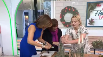 Sare Studio Empire Waist Dress worn by Erin French as seen in Today on  December 8, 2022