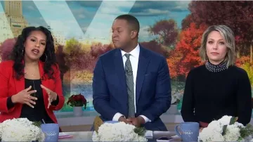 Sandro Suzette Pearl Collar Sweater porté par Dylan Dreyer comme vu dans Aujourd’hui le 13 décembre 2022