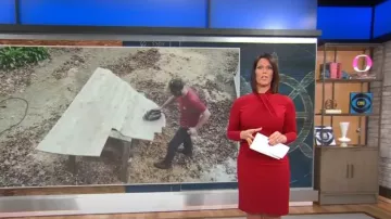 Elie Tahari Twist Neck Dress worn by Dana Jacobson as seen in CBS Mornings on January 14, 2023