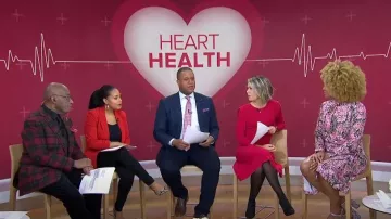 Eliza J Fit & Flare Pull Dress porté par Dylan Dreyer comme vu dans Aujourd’hui le 3 février 2023