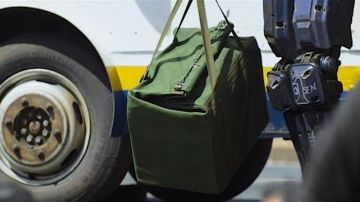 La bolsa de transporte de boletos caqui en Chappie
