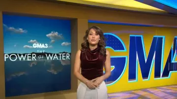 Reiss Lola Draped Velvet Top porté par Ginger Zee vu dans Good Morning America le 19 avril 2023