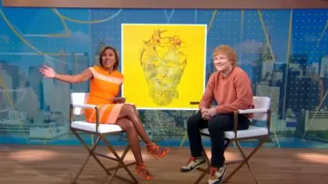 Zapatillas Nike Air Max 1 usadas por Ed Sheeran vistas en Good Morning America el 9 de mayo de 2023