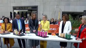 Lafayette 148 New York Scottie Silk Blouse worn by Laura Vitale as seen in Today on  May 24, 2023