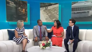 Vince Camuto Cap Sleeve Stripe Robe portée par Dylan Dreyer comme vu dans Aujourd’hui le 19 juin 2023