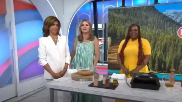 Simkhai Marionne Mixed Media Dress worn by  Kena Peay as seen in Today with Hoda & Jenna on June 22, 2023