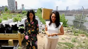 Carolina Herrera Wide Leg Floral Pants worn by Stephanie Hsu as seen in CBS Mornings on July 6, 2023