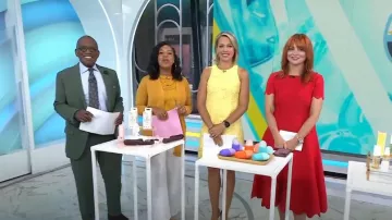Eliza J Lace Shift Robe portée par Dylan Dreyer comme vu dans Aujourd’hui le 18 juillet 2023