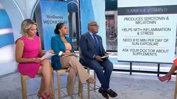 Talbots Knit Wide Leg Pants usados por Sheinelle Jones como se ve en Today el 19 de julio de 2023