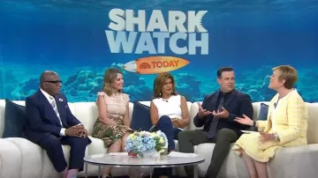 Oscar de la Renta Gingham Tweed Minivestido usado por Anne Thompson como se ve en Today el 21 de julio de 2023