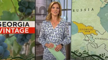 Veronica Beard Darrah Vestido usado por Natalie Morales visto en CBS Mornings el 31 de julio de 2023