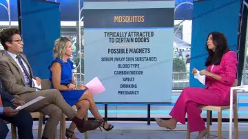 Valentino Garavani Rockstud Mules worn by Natalie Morales as seen in Today on August 4, 2023