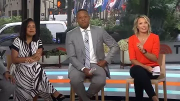 Ann Taylor Chandail à manches 3/4 texturé porté par Dylan Dreyer tel que vu dans Today on August 17, 2023
