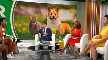 Michael Michael Kors Cap-Sleeve V-Neck Midi Sheath Vestido usado por Gayle King como se ve en CBS Mornings el 21 de agosto de 2023