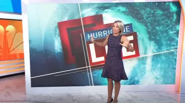 Eliza J Sleeveless Tweed Fit & Flare Dress worn by Dylan Dreyer as seen in Today on September 12, 2023