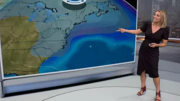Tory Burch Leyla Sandalia de gamuza de 85 mm con corte láser en el puerto usada por Alexandra Wilson como se ve en CBS Evening News el 25 de septiembre de 2023