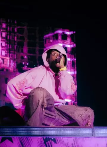 Balenciaga Pink Offshore Logo Zip Hoodie worn by Lil Uzi Vert on the Instagram account @liluzivert
