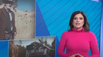 Ted Baker Pipalee Ruffle Rib Sweater In Bright Pink worn by Chloe Melas as seen in Today on November 16, 2023