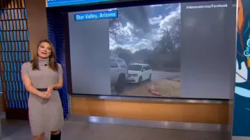 Vince Ribbed Turtleneck Sweaterdress In Heather Almond worn by Ginger Zee as seen in Good Morning America on November 20, 2023