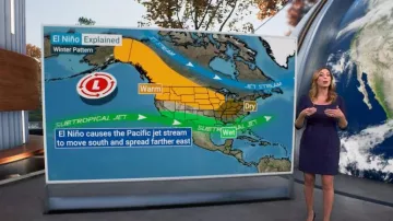 Robe à épaules bouffantes bleu marine Nanette Lepore portée par Stephanie Abrams dans CBS Mornings le 22 novembre 2023