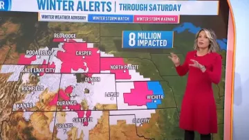 Eliza J Fit & Flare Sweater Dress worn by Dylan Dreyer as seen in Today on November 24, 2023