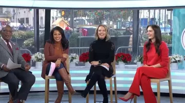 Eliza J Gwynne Turtleneck Dress worn by Dylan Dreyer as seen in Today on  December 5, 2023