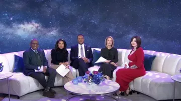 Gal Meets Glam Brianna Tie Neck Dress in Vine worn by Dylan Dreyer as seen in Today on January 3, 2024