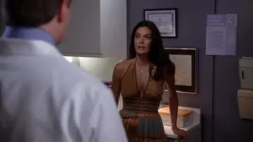 El vestido estampado usado por Susan Mayer (Teri Hatcher) en la serie Desperate Housewives (Temporada 4 Episodio 1)