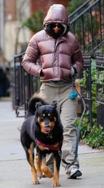 Sweat à capuche Aritzia Cozy Fleece Perfect en chrome chiné porté par Emily Ratajkowski à New York le 15 janvier 2024
