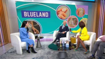 Another Tomorrow Bias Slip Skirt portée par Sarah Paiji dans CBS Mornings le 22 janvier 2024